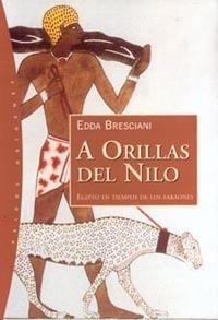 A orillas del Nilo | 9788449311345 | Bresciani, Edda