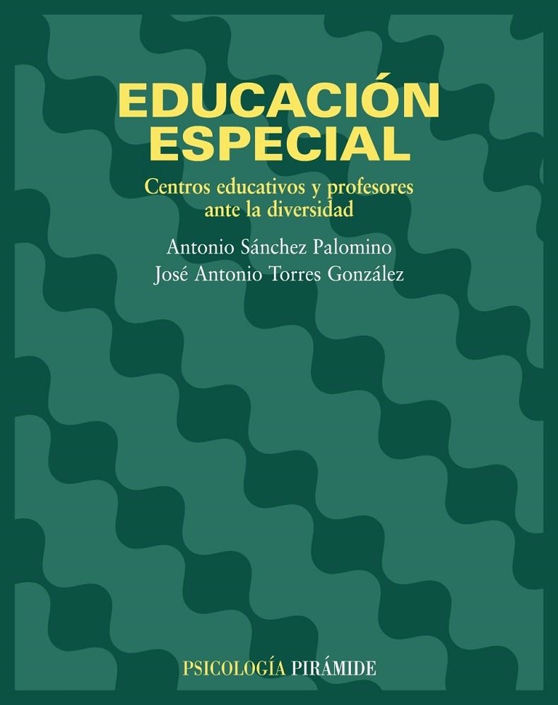Educación especial | 9788436816501 | Sánchez Palomino, Antonio;Torres González, José Antonio