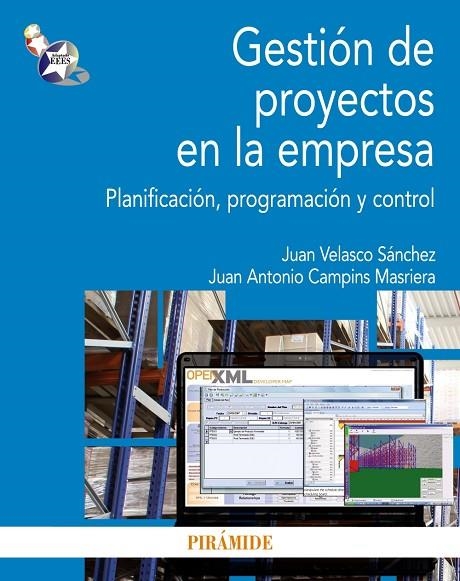 Gestión de proyectos en la empresa | 9788436829495 | Velasco Sánchez, Juan;Campins Masriera, Juan Antonio