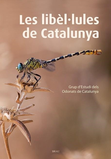 Les libèl·lules de Catalunya | 9788415885467 | GRUP D'ESTUDIS DELS ODONATS DE CATALUNYA