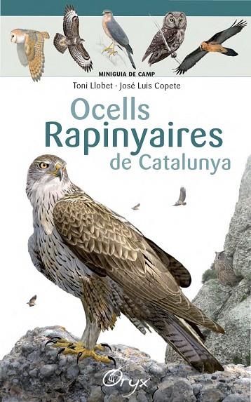 Ocells rapinyaires de Catalunya | 9788490346785 | Llobet François, Toni;Copete, José Luis