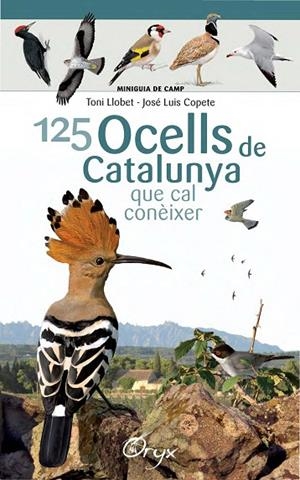 125 ocells de Catalunya | 9788490346747 | Llobet François, Toni;Copete, José Luis