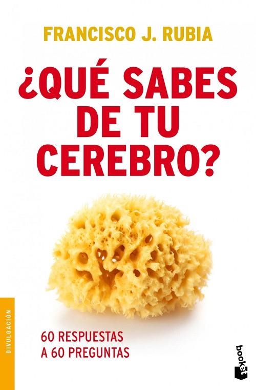 ¿Qué sabes de tu cerebro? | 9788499980935 | Rubia, Francisco