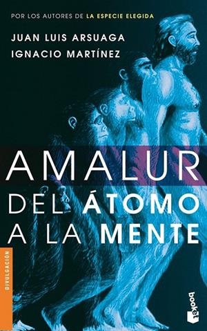 Amalur | 9788484605393 | Arsuaga, Juan Luis;Martínez, Ignacio