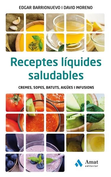 Receptes líquides saludables | 9788497358828 | Barrionuevo Burgos, Edgar;Moreno Meler, David