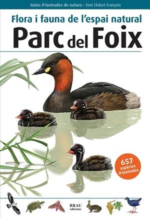 Flora i fauna de l'espai natural Parc del Foix | 9788496905580 | Bayer González, Xavier;Guasch González, Francesc