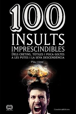 100 insults imprescindibles | 9788490341896 | Vidal Gavilán, Pau