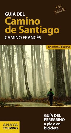 Guía del Camino de Santiago. Camino Francés | 9788499358420 | Pombo Rodríguez, Antón