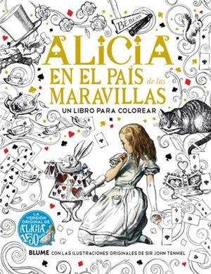 Alicia en el País de las Maravillas | 9788498018981 | Lewis, Carroll;Tenniel, John