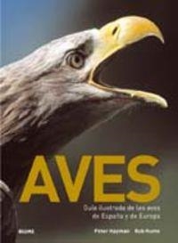 Aves | 9788480767811 | Hayman, Peter;Hume, Rob