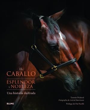 El caballo. Esplendor y nobleza | 9788415317074 | Pickeral, Tamsin;Harrisson, Astrid