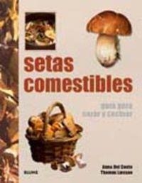 Setas comestibles | 9788480768412 | Conte, Anna;Laessoe, Thomas