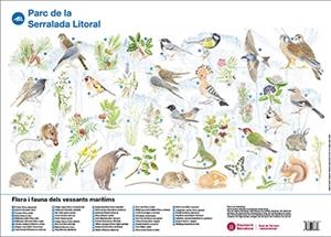 Flora i fauna dels vessants marítims: Parc de la Serralada Litoral | 9788498036756 | DIPUTACIÓ DE BARCELONA. GERÈNCIA DE SERVEIS D'ESPAIS NATURALS