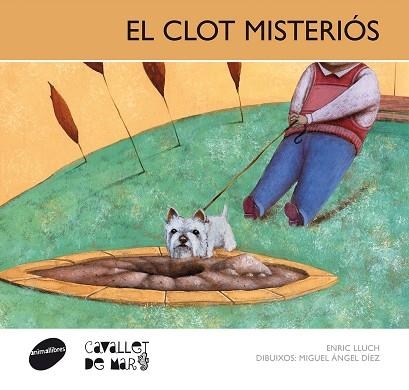 El clot misteriós | 9788415095491 | Lluch Girbés, Enric