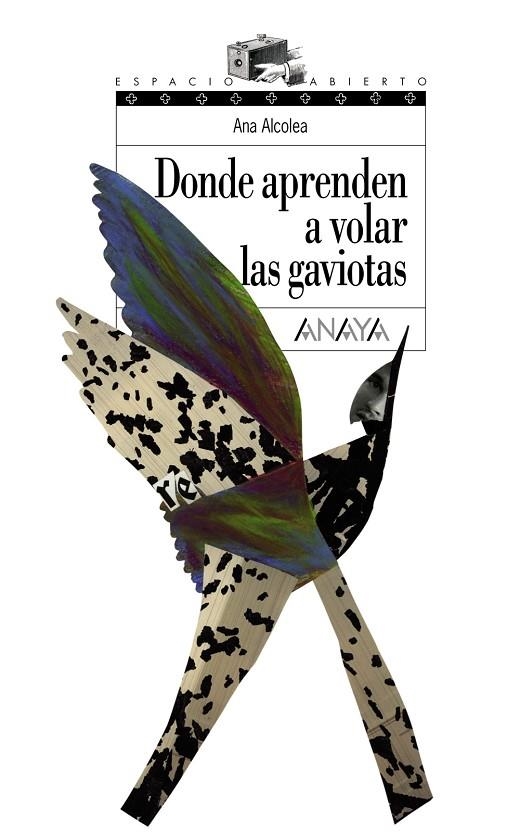 Donde aprenden a volar las gaviotas | 9788466762489 | ANA ALCOLEA