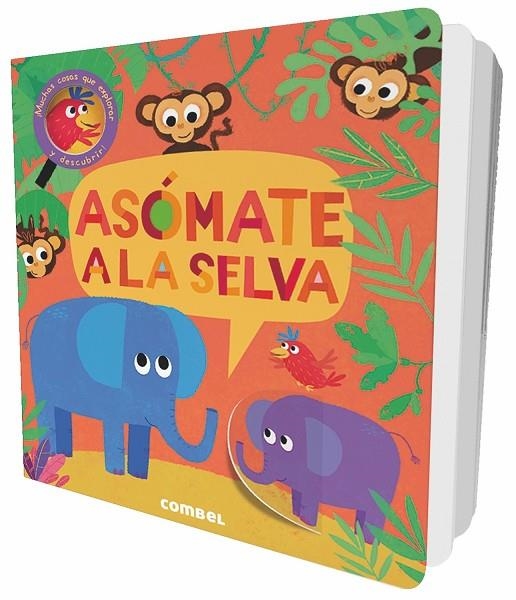 Asómate al bosque | 9788491011460 | Litton, Jonathan