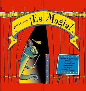 ¡Es magia! | 9788498252170 | O'Leary, John