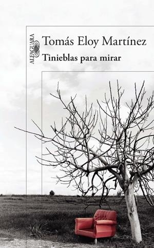 TINIEBLAS PARA MIRAR | 9788420418001 | Tomás Eloy Martínez
