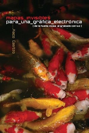 Mapas invisibles para una gráfica electrónica | 9788493556648 | Castro Muñiz, José Antonio
