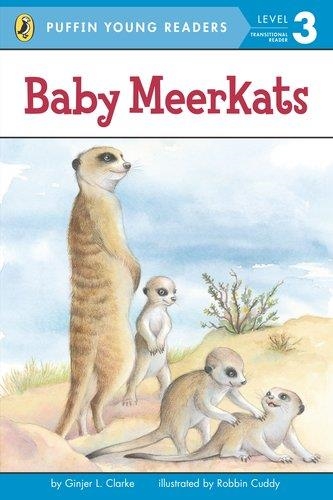 BABY MEERKATS | 9780448466385 | GINJER CLARKE/ROBBIN CUDDY