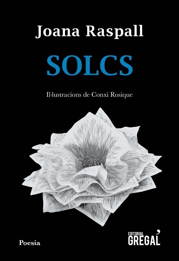 Solcs | 9788417082598 | Raspall i Juanola, Joana
