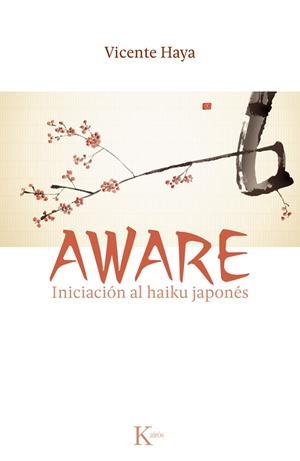 Aware | 9788499882451 | Haya Segovia, Vicente