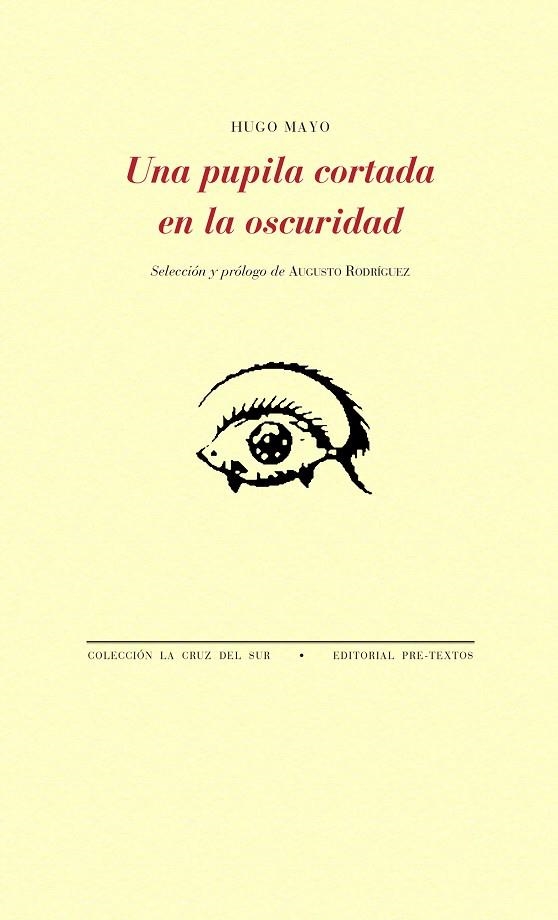 Una pupila cortada en la oscuridad | 9788417143459 | Mayo, Hugo