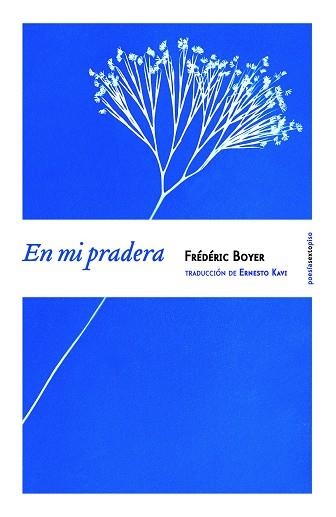 En mi pradera | 9788416358038 | Boyer, Frédéric