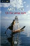 Un lloc sense nom | 9788429758092 | Demattei, Louis M. / Tan, Amy