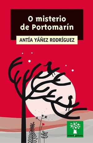 O misterio de Portomarín | 9788491510215 | Yánez Rodríguez, Antía