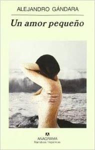 Un amor pequeño | 9788433968593 | Gándara, Alejandro