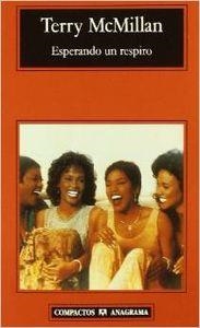 Esperando un respiro | 9788433966650 | McMillan, Terry