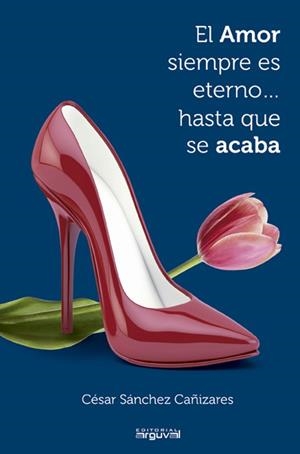 El amor siempre es eterno...hasta que se acaba | 9788415329640 | Sánchez Cañizares, César