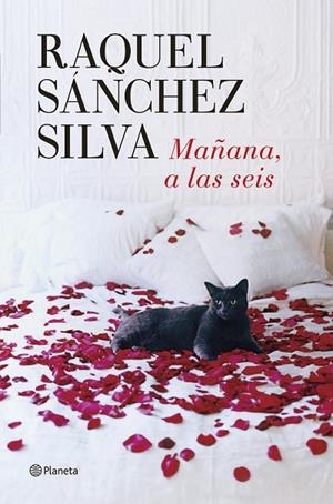 Mañana, a las seis | 9788408126287 | Sánchez Silva, Raquel