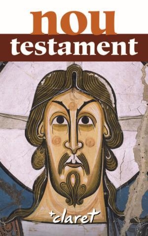 Nou Testament (edició en rústica) | 9788498464306