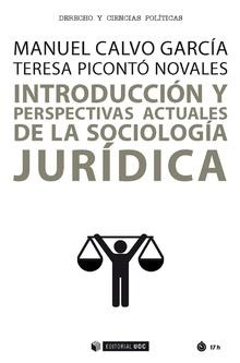 Introducción y perspectivas actuales de la Sociología jurídica | 9788491168560 | Calvo García, Manuel;Picontó Novales, Teresa