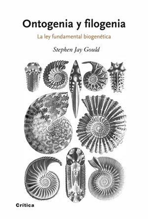 Ontogenia y Filogenia | 9788498920628 | Gould, Stephen Jay