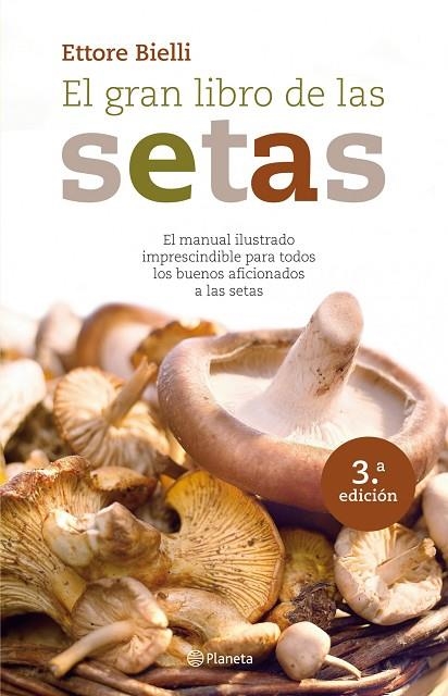 El gran libro de las setas | 9788408094180 | Bielli, Ettore