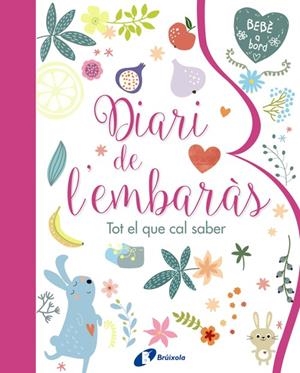 Diari de l'embaràs. Tot el que cal saber | 9788499067797 | Varios Autores