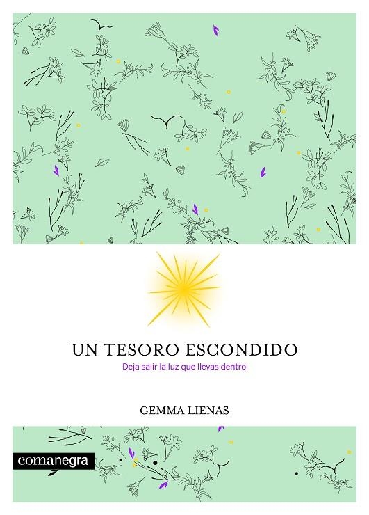 Un tesoro escondido | 9788416605354 | Lienas Massot, Gemma
