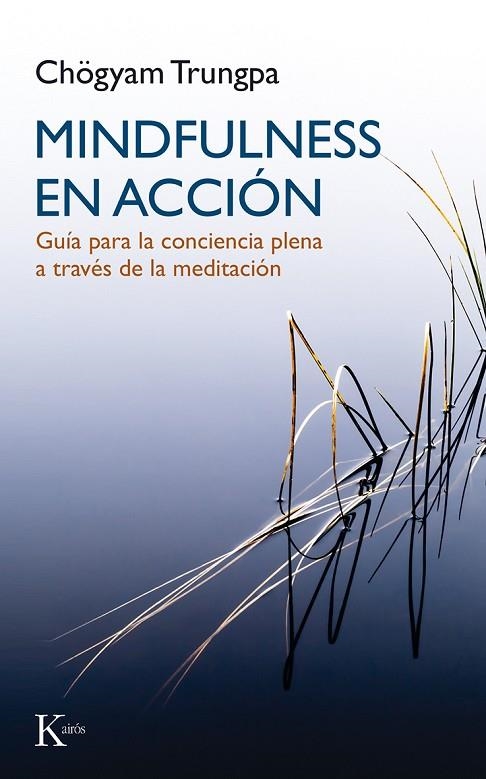 Mindfulness en acción | 9788499884899 | Trungpa, Chögyam