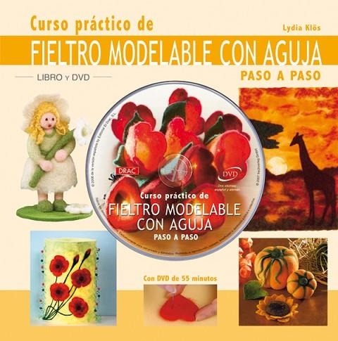 CURSO PRÁCTICO DE FIELTRO MODELABLE CON AGUJA | 9788498740134 | Klös, Lidia