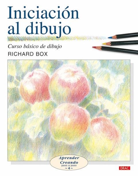 INICIACIÓN AL DIBUJO | 9788496365940 | Box, Richard