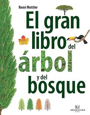 El gran libro del arbol y del bosque | 9788426139399 | Mettler. René
