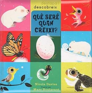 QUE SERE QUAN CREIXI? | 9788426139085 | Davies, Nicola