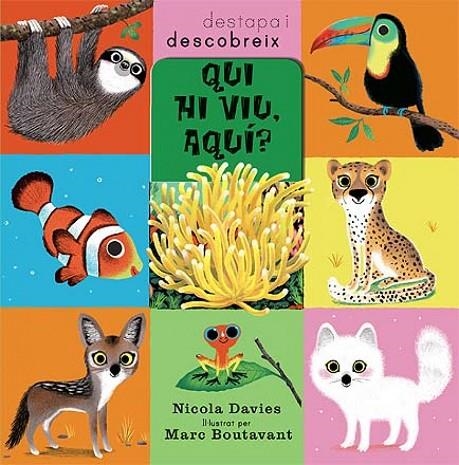 Qui viu, aqui? | 9788426139993 | Davies, Nicola
