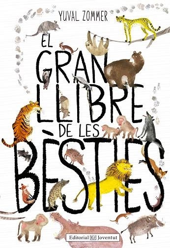 El gran llibre de les bèsties | 9788426144126 | Zommer, Yuval;Taylor, Barbara