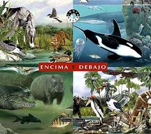 Encima y  debajo | 9788426136176 | Bertolucci - Cucchiarini