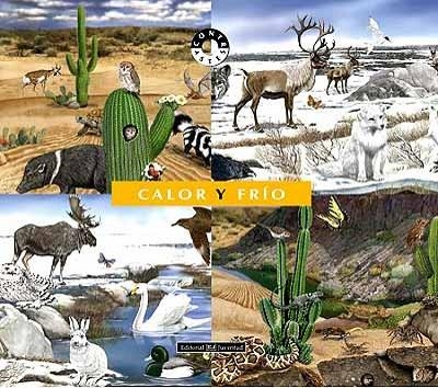 Calor y frio | 9788426136213 | Bertolucci - Cucchiarini