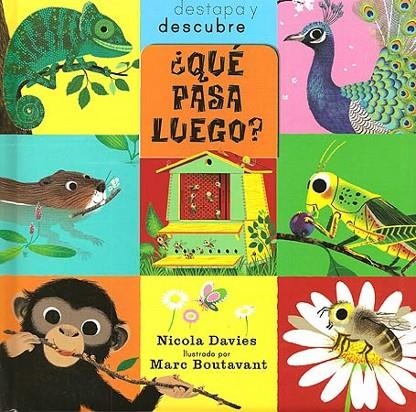 ¿Qué pasa luego? | 9788426139962 | Davies, Nicola